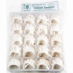ASF-Shrimp Har Gow 500g/ ASF Garneļu Har Gow 500g